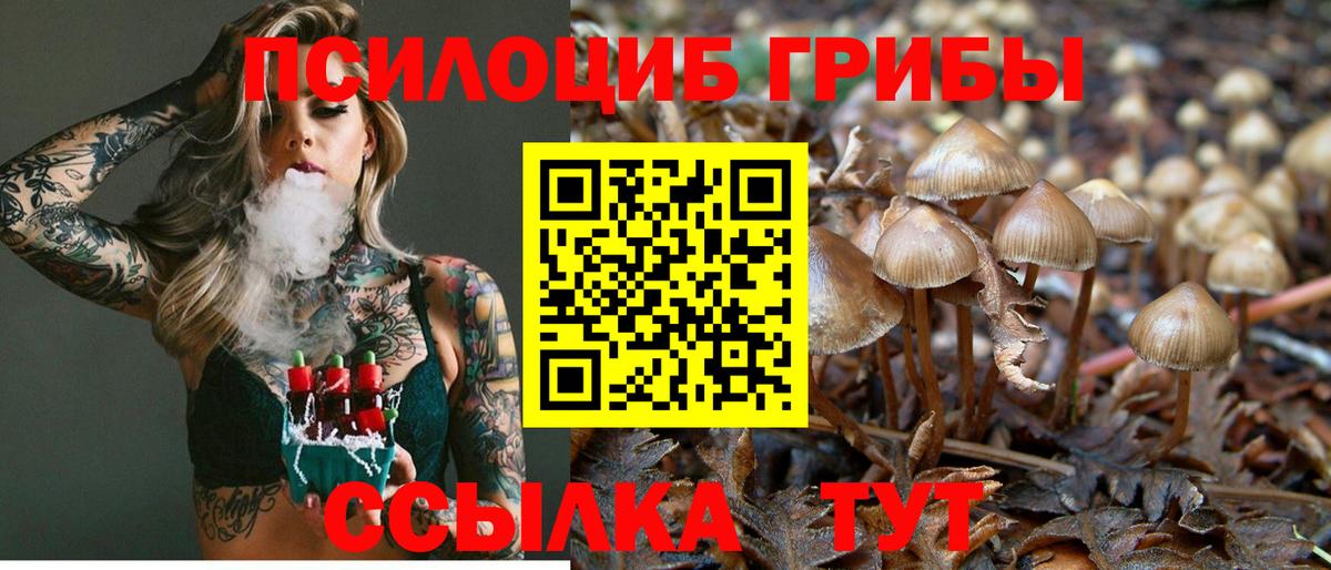 Галлюциногенные грибы Magic Shrooms Златоуст